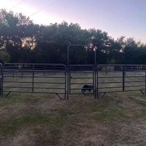 Black 40ft round pen