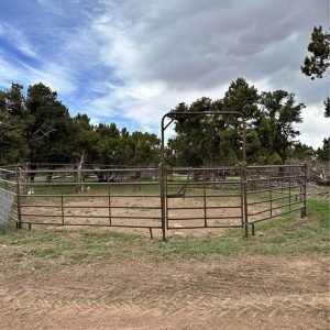 50ft roundpen
