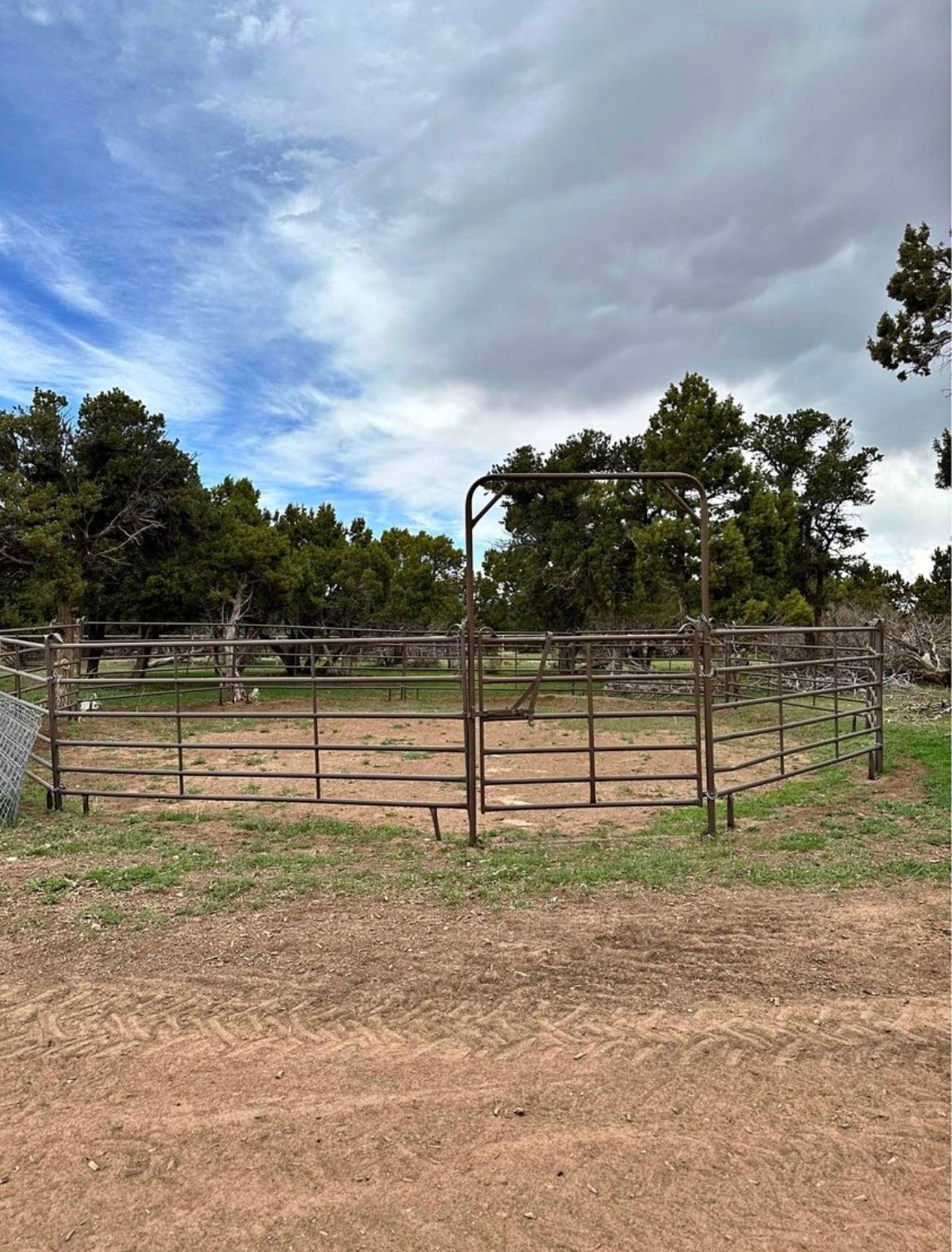 img_7686 50ft roundpen