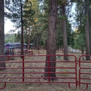 50ft roundpen