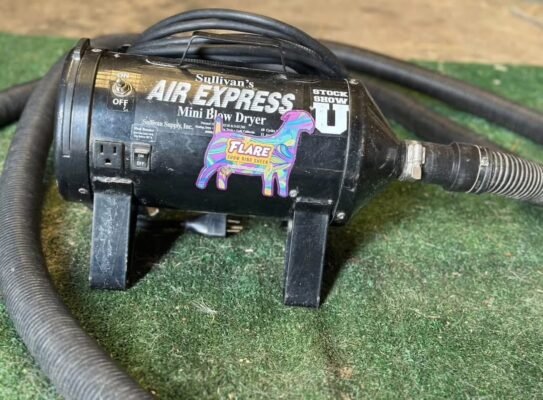 Mini blower
